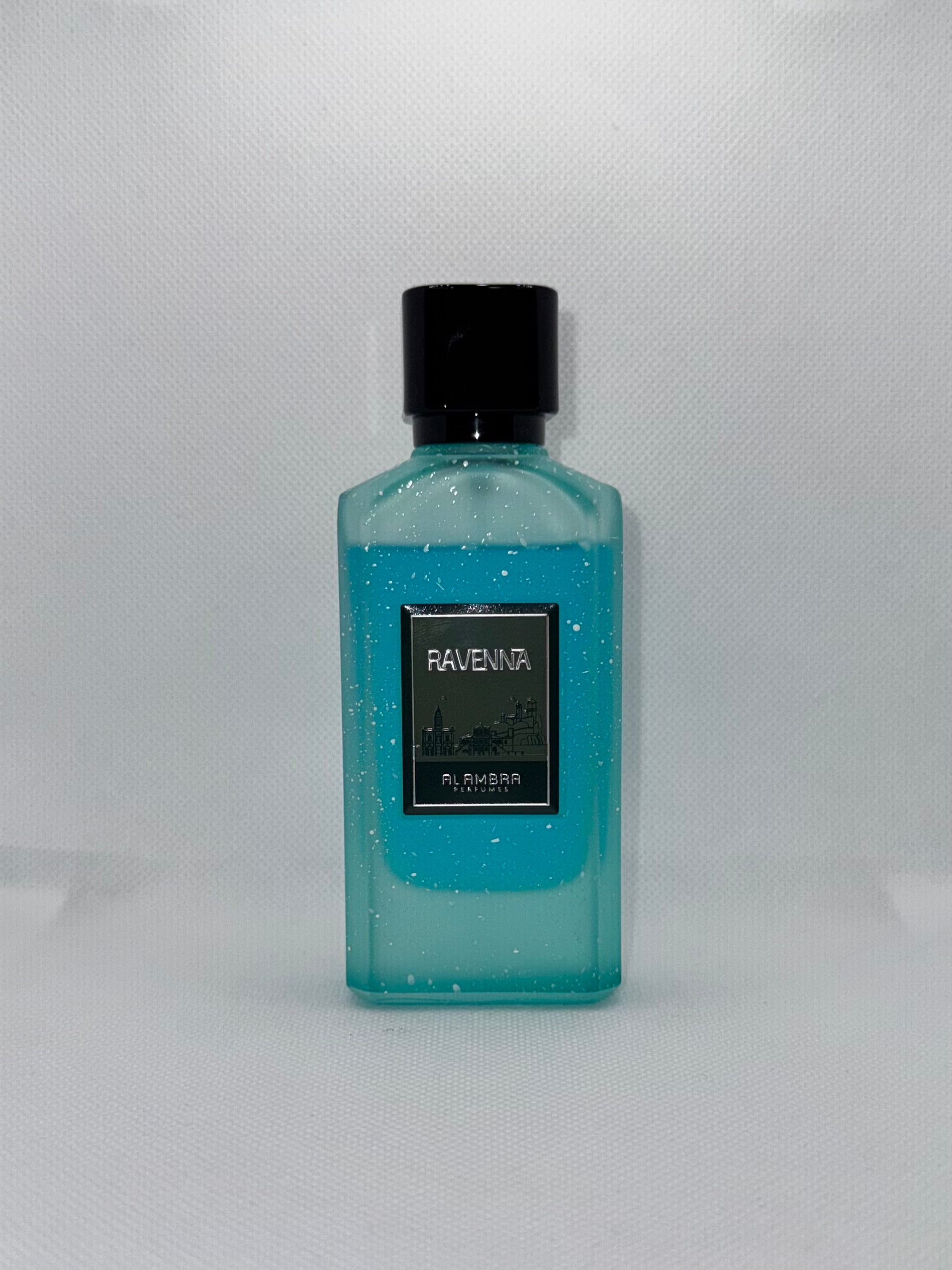 Al Ambra Ravenna Sample (Twist on LV Imagination)